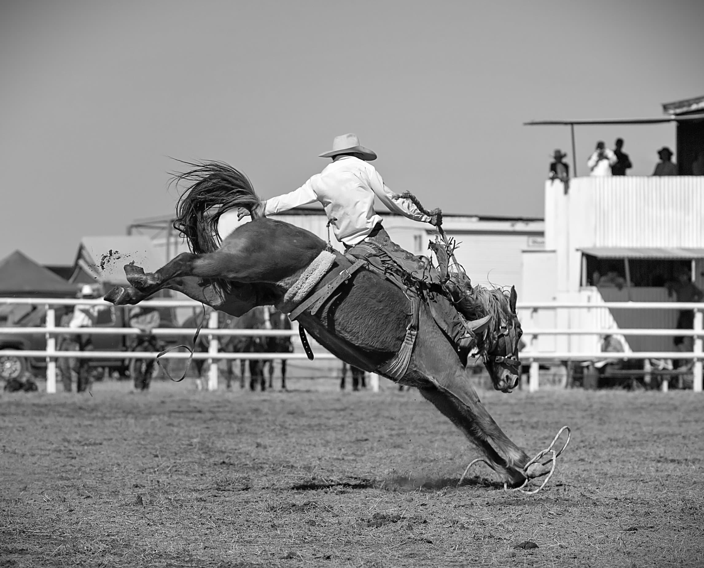 Adam Connor aboard Sidewinder at the Clauson Rodeo, September 1946.